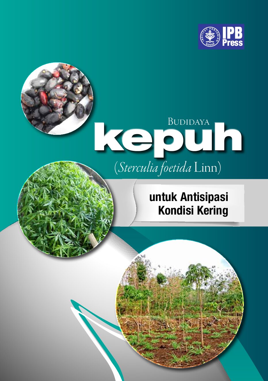 Cover Budidaya Kepuh Alin Maryanti 2014